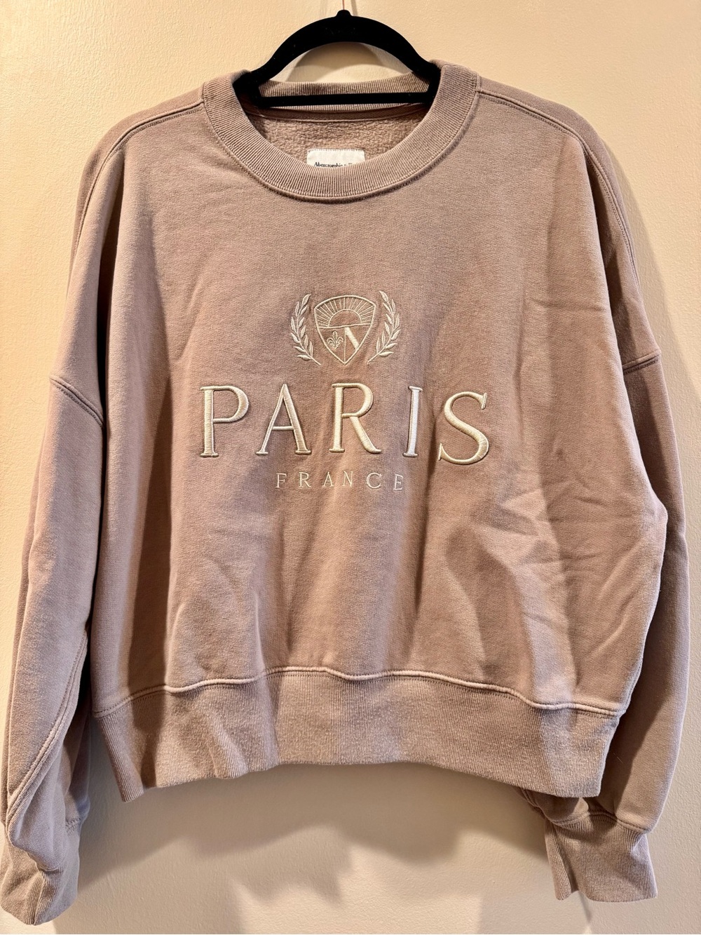 Abercrombie & Fitch Paris Cropped Sweatshirt